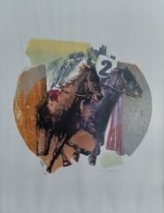 PROF. DR. MÜJDE AYAN