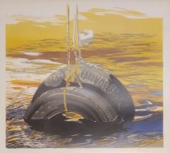 PROF. DR.MÜJDE AYAN